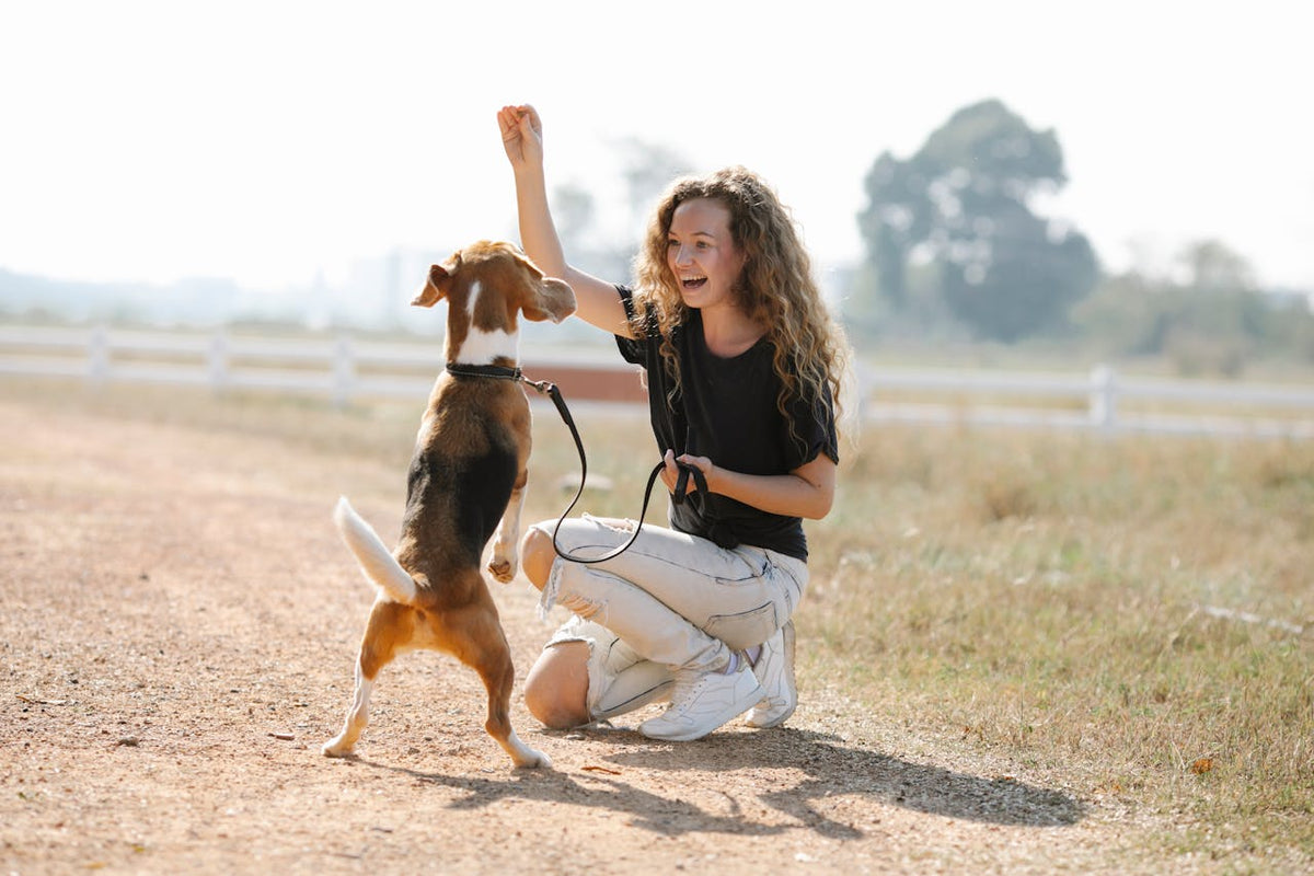An example of a woman giving her dog the best supplements for aging dogs