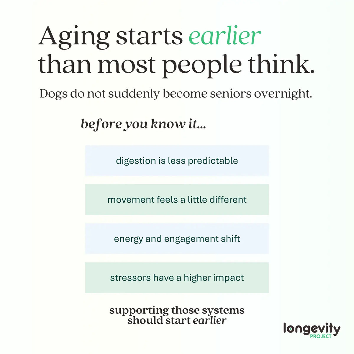 Longevity-ONE Soft Chews