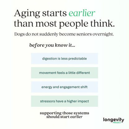 Longevity-ONE Soft Chews
