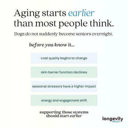 Longevity-BLUE Soft Chews