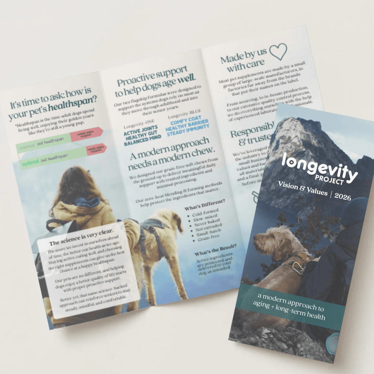 Brand Brochure