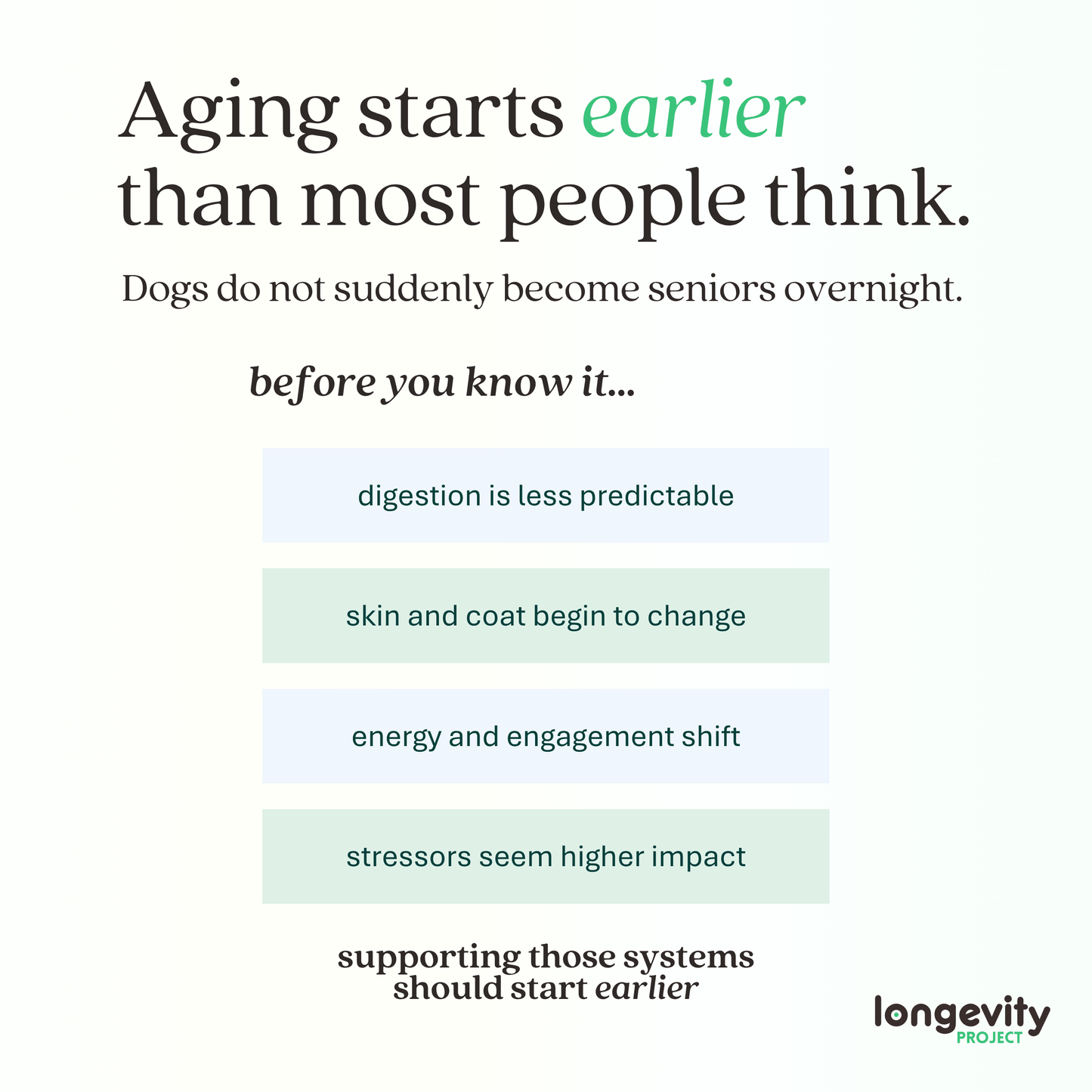 Longevity-ONE Soft Chews