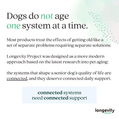 Longevity-ONE Soft Chews