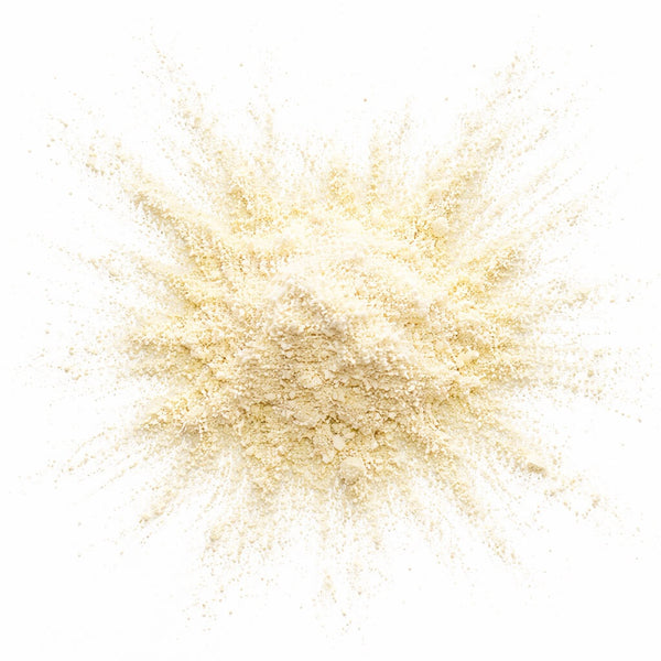type II collagen