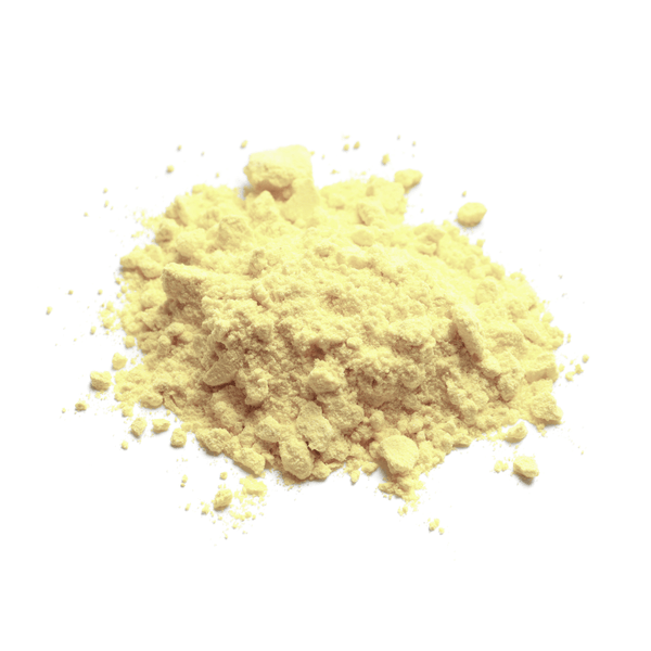 multi-strain probiotics